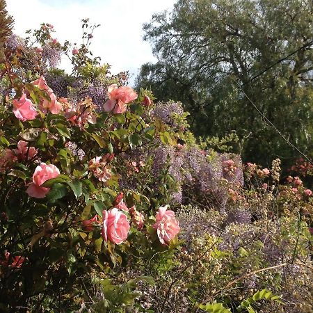 Natone Bed & Breakfast Hobart Bagian luar foto