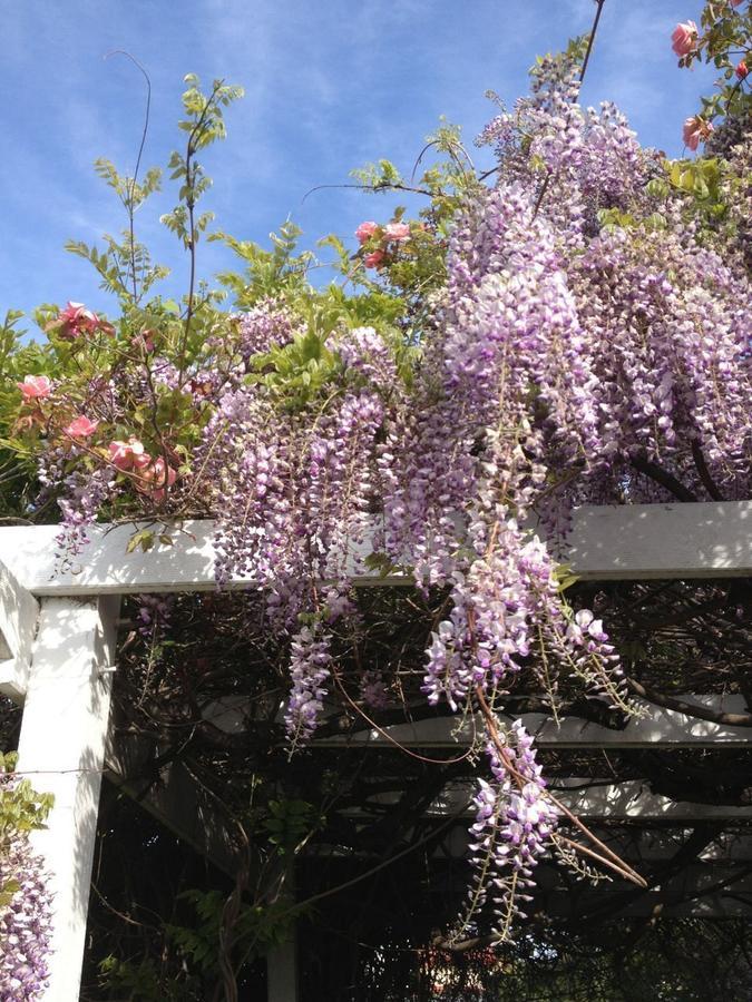 Natone Bed & Breakfast Hobart Bagian luar foto